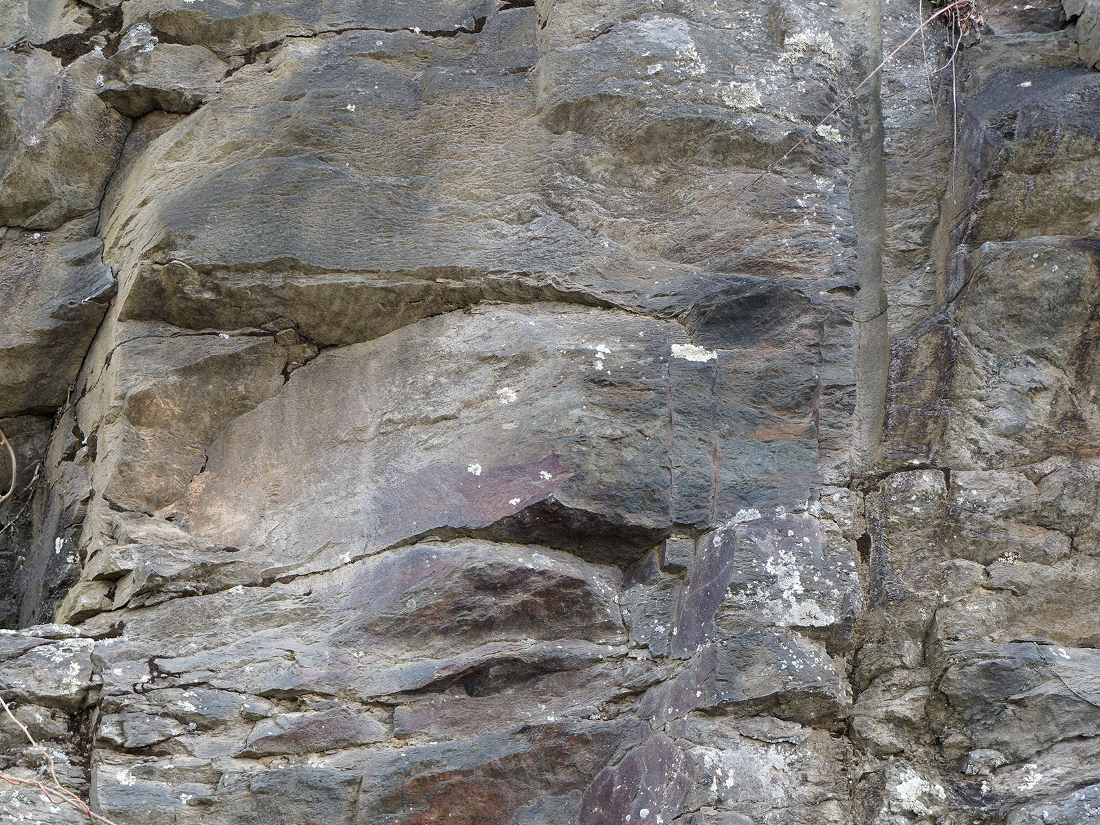 Hampton sandstone road cut at Rockytop Overlook.