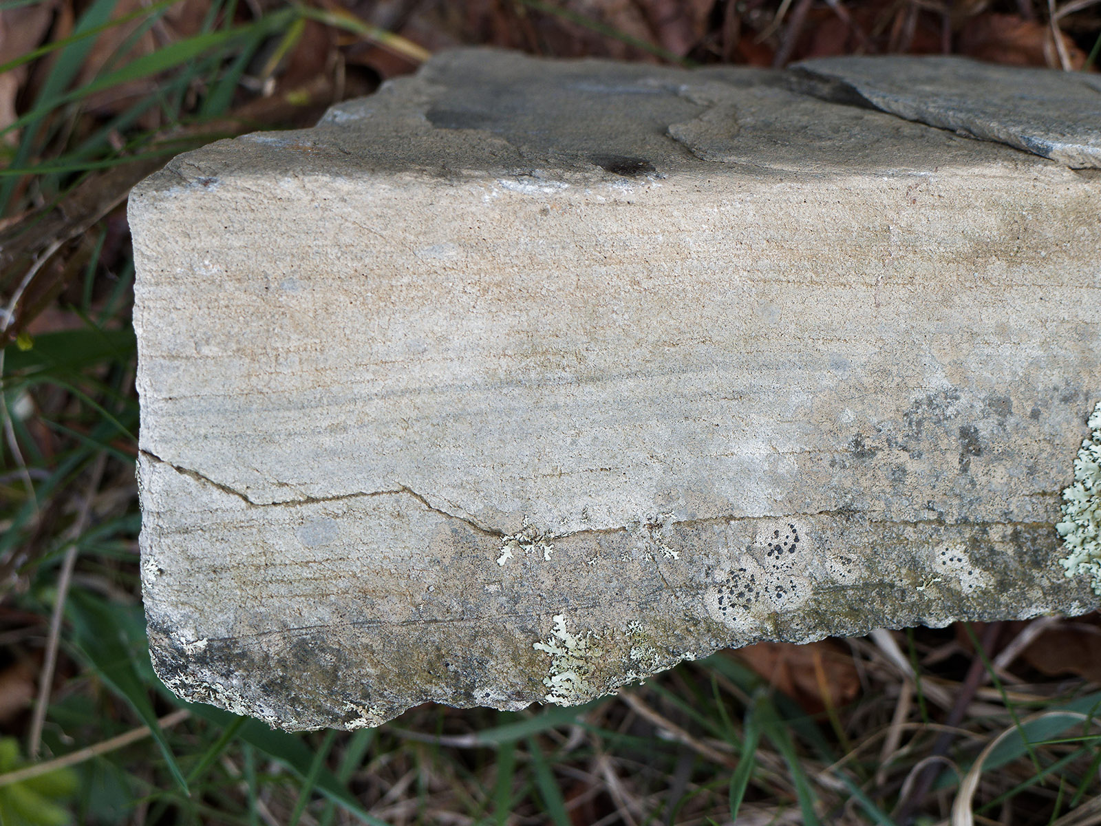 Hampton sandstone road cut at Rockytop Overlook.