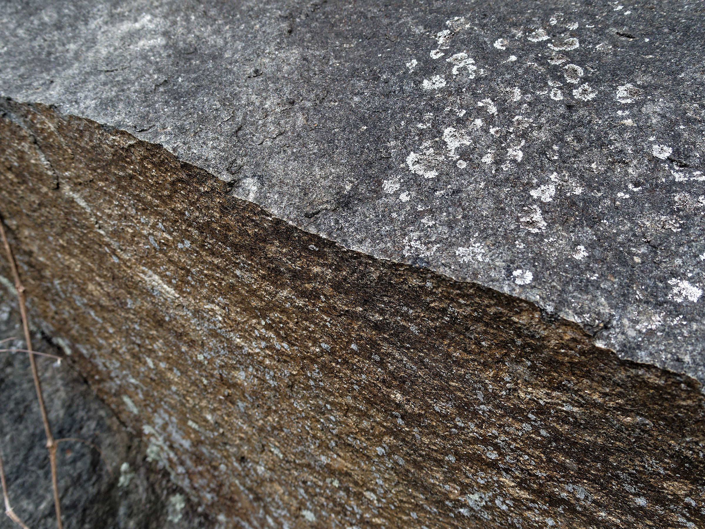 Granodiorite gneiss in roadcut near Little Devils Staircase Overlook.  Granodiorite gneiss contains quartz with a higher concentration of plagioclase (calcium and sodium) feldspar than potassium feldspar and iron and magnesium minerals that make it darker than granite gneiss.  Lichens cover the surface in areas.  This was originally granodiorite that formed as plutonic rock at the base of the Greenville Mountains that formed during the formation of Rodinia.    Pressure and heat deep in the Earth and under metamorphic forces associated with formation of Pangea melted the rock and altered it chemically and physically to its current form.