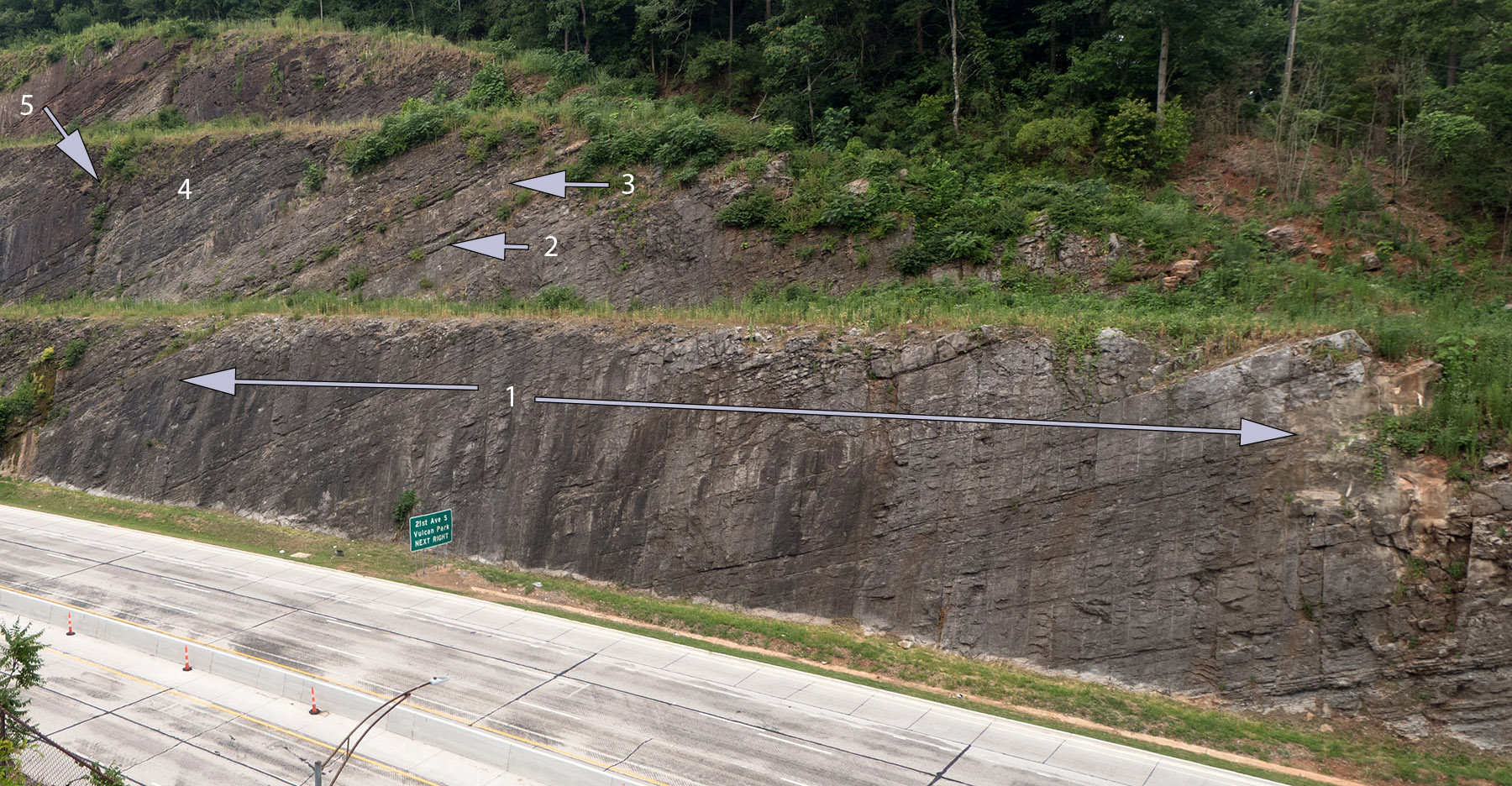 The right side of the preceding photo shows the upward tilt of the layers forming the SE limb of the Birmingham anticline which has been eroded largely.  The layer (marked 1) is Chickamauga Limestone laid down in shallow seas in the Ordovician Period (485 Ma).  More superficial are two Bentonite layers (marked 2) laid down as volcanic ash in late Ordovician.  The next layer (3) is Sequatchie Formation layer limestone laid down in the late Ordovician.   The next much thicker layer (4) is the Red Mountain Formation.  The Red Mountain vertical fault is labeled (5).