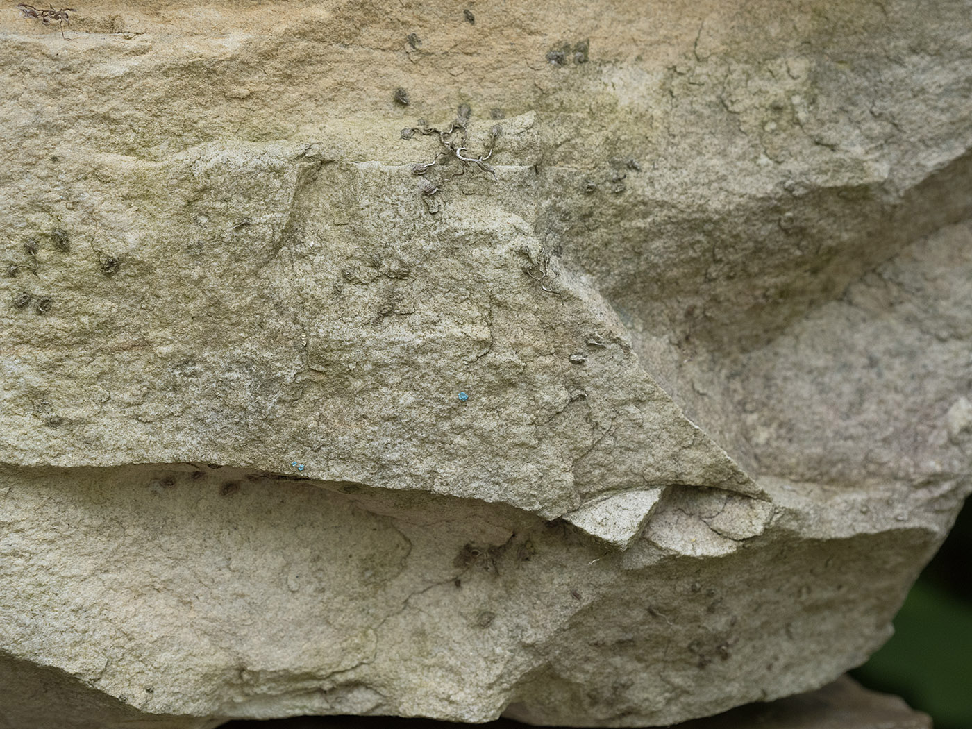Limestone, Ruffner Mountain