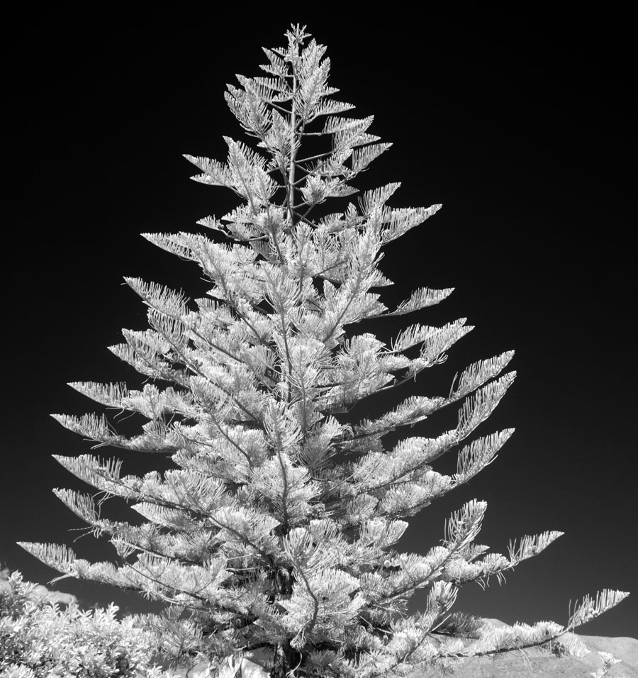 05_05_P3310059_900
