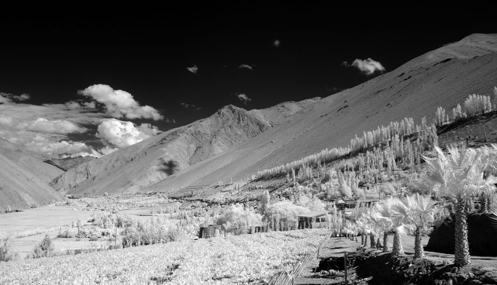 05_13_P3310098_1000