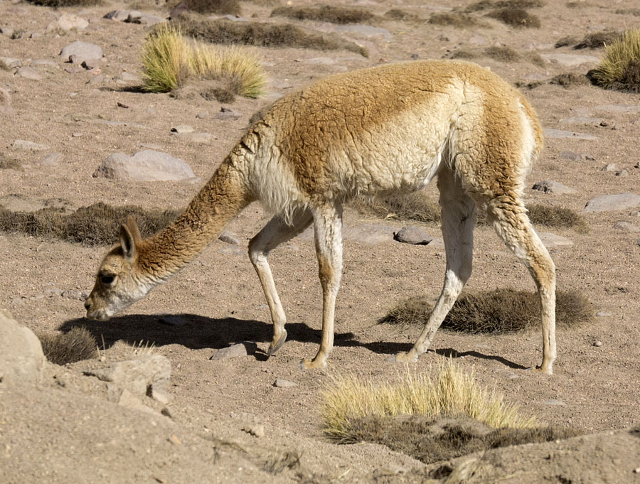 08_04_P1030512_900