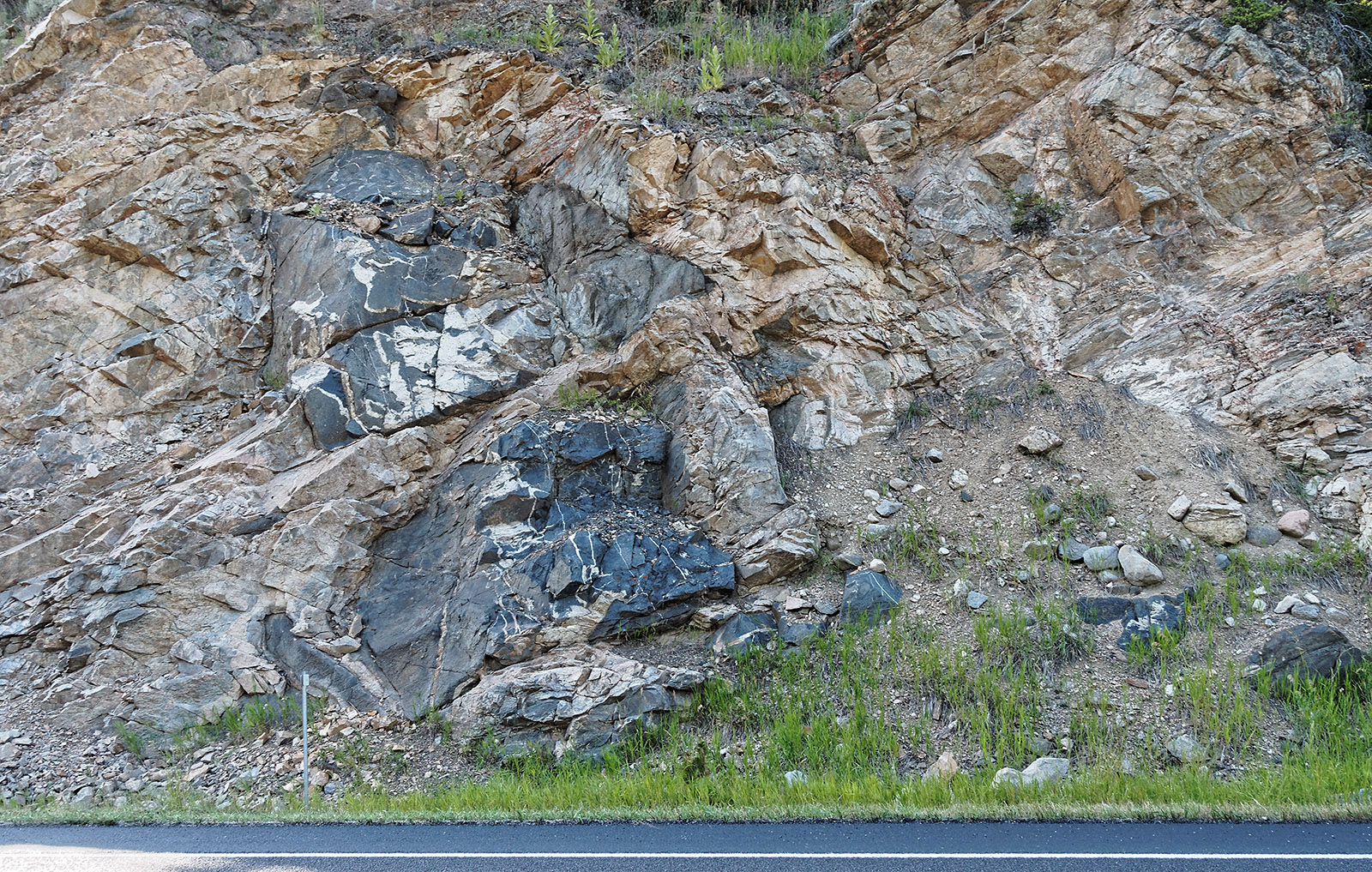 Quad Creek Quartzite - 3.25 Billion years old.  The lighter rock with darker central igneous intrusion is the oldest rock in the USA.  It was derived from the first solid rock that formed on Earth.  It is located in a roadcut of US Highway 212 South of Red Lodge.