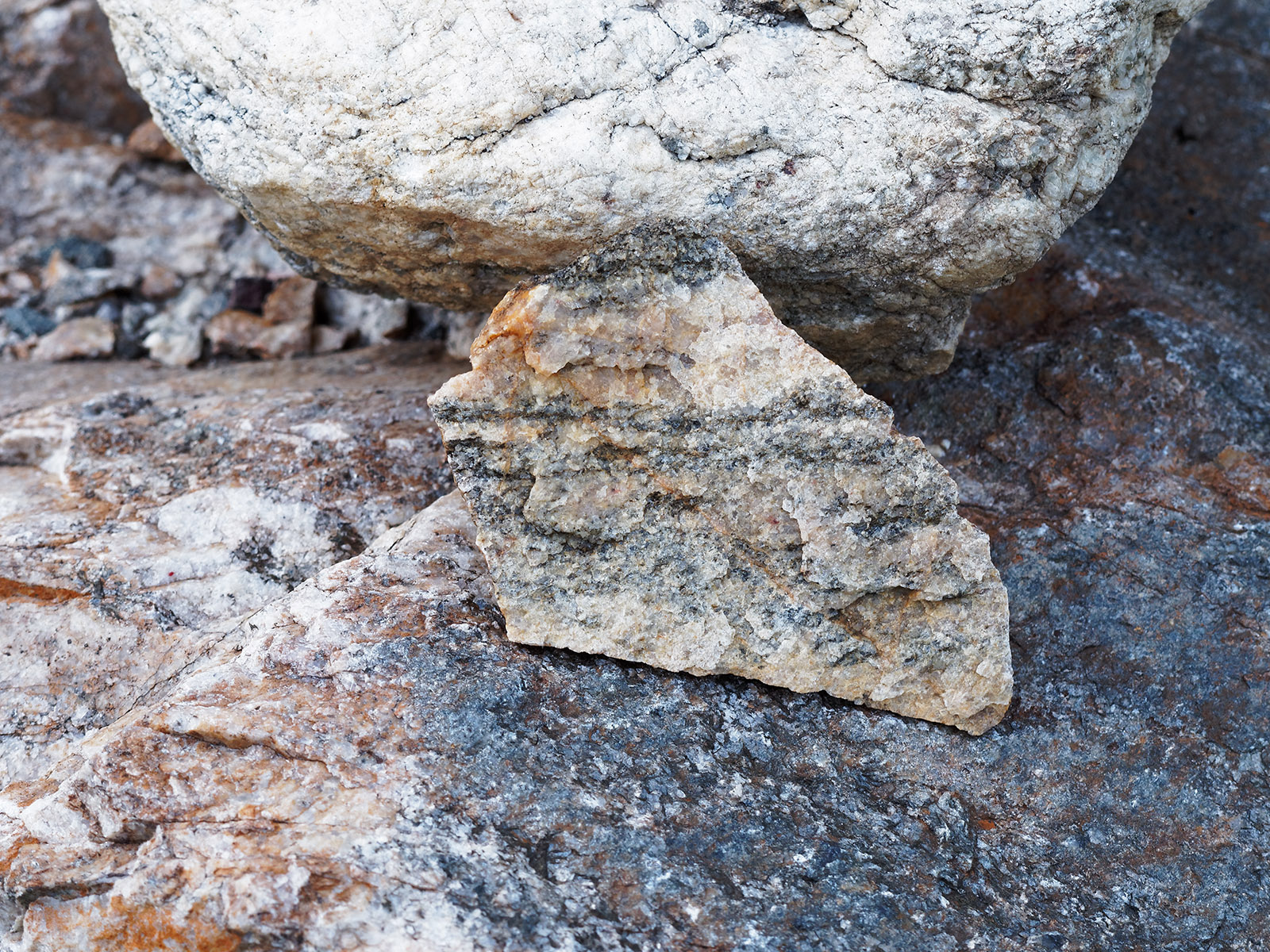 Quad Creek Quartzite - 3.25 Billion Years Old.  The first silica-rich, solid Earth crust that formed during the cooling of the earth surface was further compressed and heated during initial supercontinent formation and redistribution to become incorporated into other metamorphic rock that formed the Beartooth plateau.