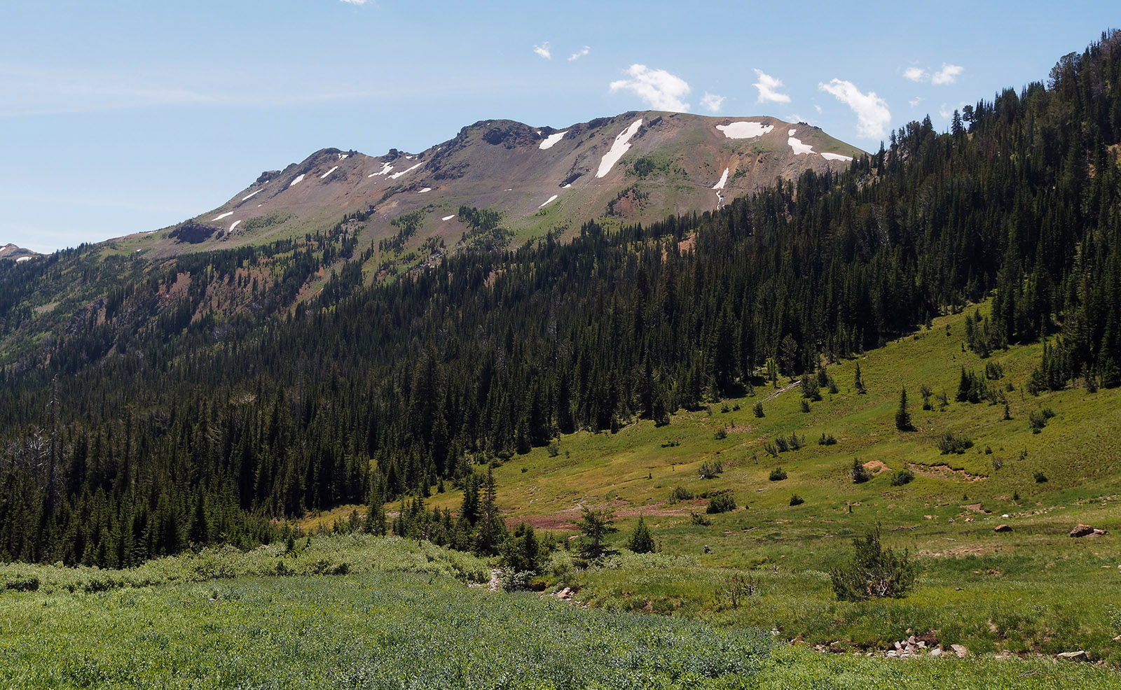 Lulu pass above Cooke City.  Igneous intrustion protrude through limestone formations.  Acid fluids and magma interact with limestone which buffers the acid and metals are precipitated leaving deposits of gold, sliver, copper, lead and zinc at the interface.