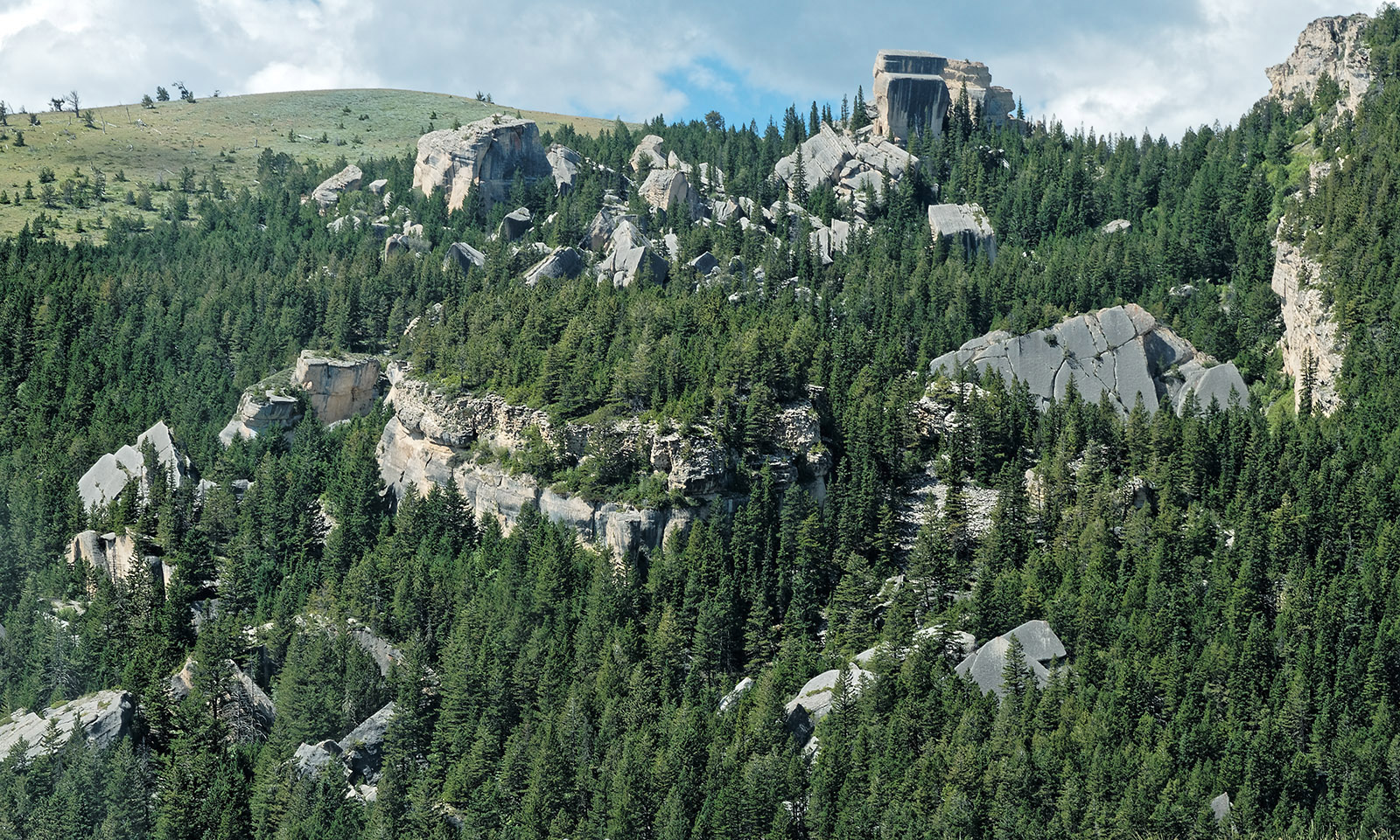 Fallen City is a rock slide of Madison formation limestone (349-326 MA) near the highway summit.