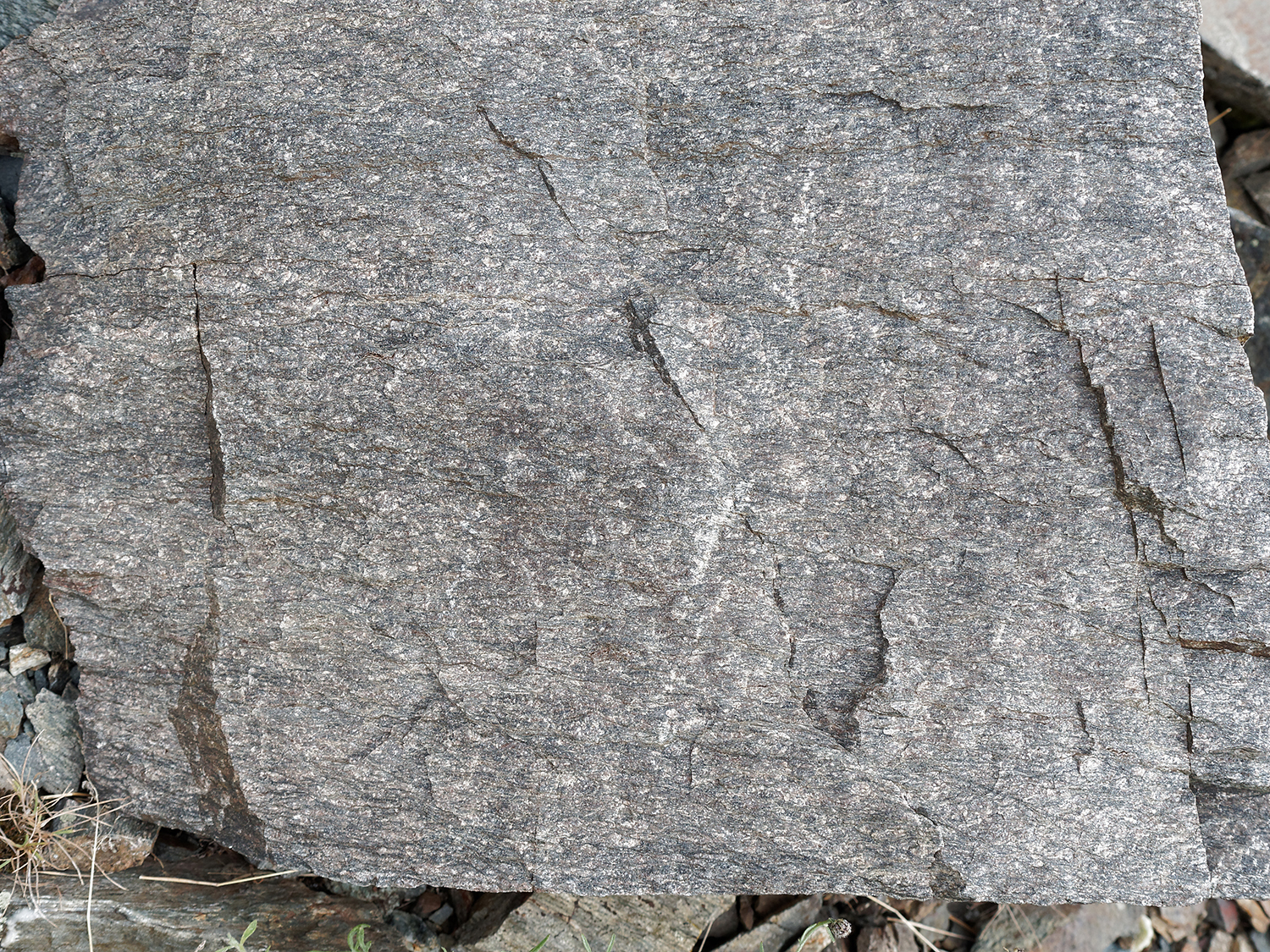 Gneiss in landslide debris.