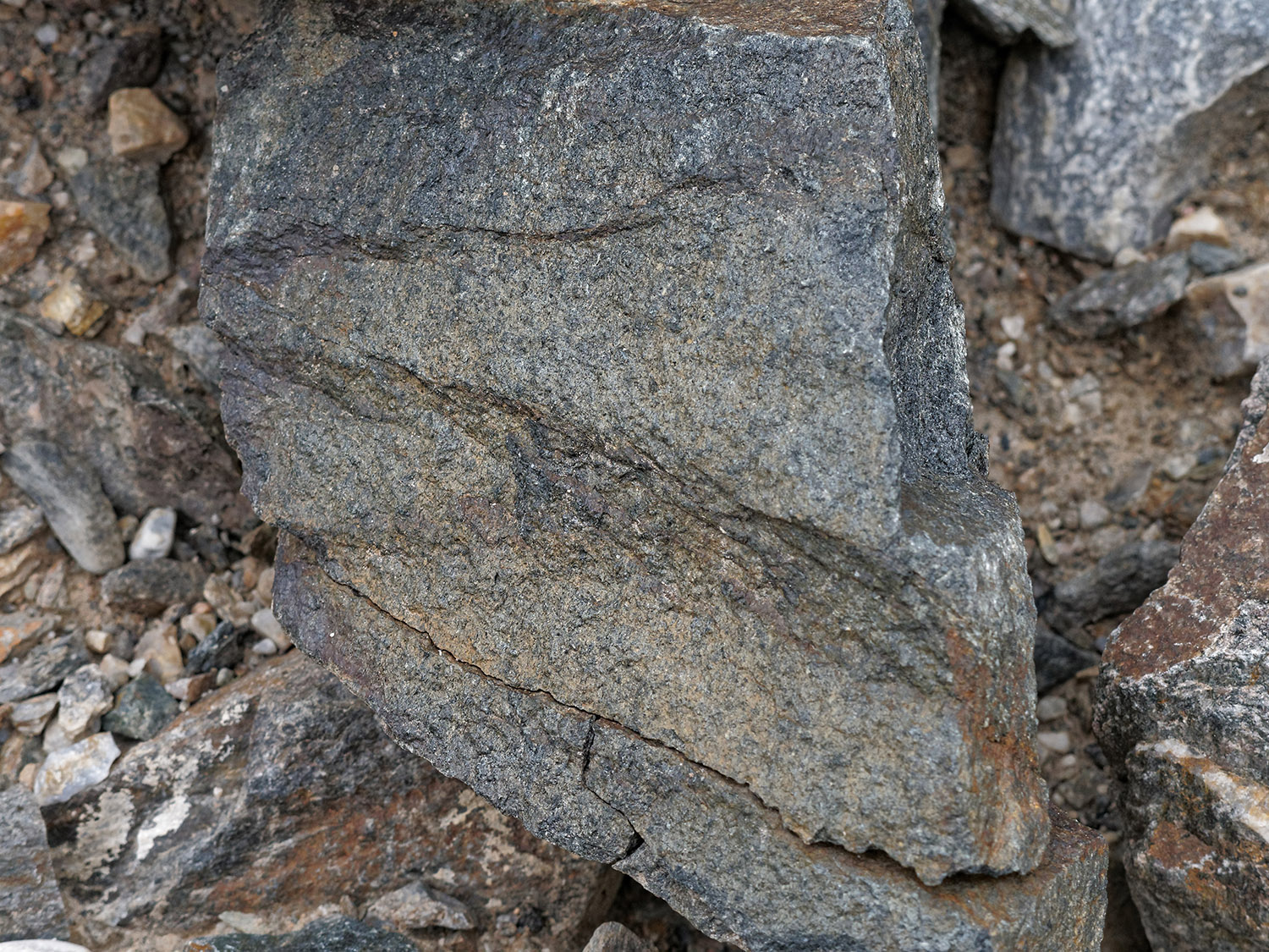 Amphibolite.