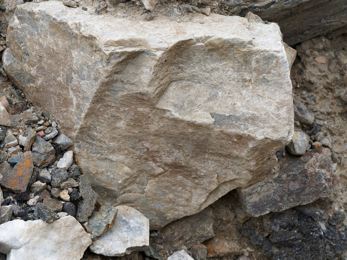 Schist in landslide debris.