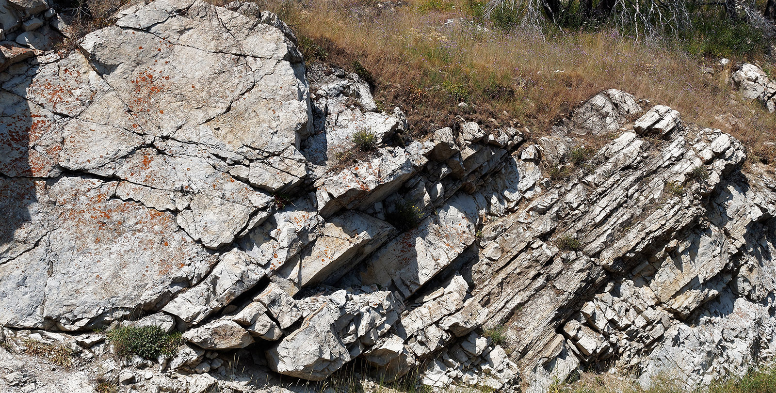 The Altyn formation (1.45-1.35 billion years ago) is composed mostly of limestone and dolomite that formed in a warm shallow sea. Limestone is calcium carbonate formed from shell and skeletons of aqueous organisms as well as wastes and precipitates.  Dolomite is calcium carbonate complexed with magnesium [CaMg(C03)2] found in mud and in magnesium-rich water that interacts with limestone.