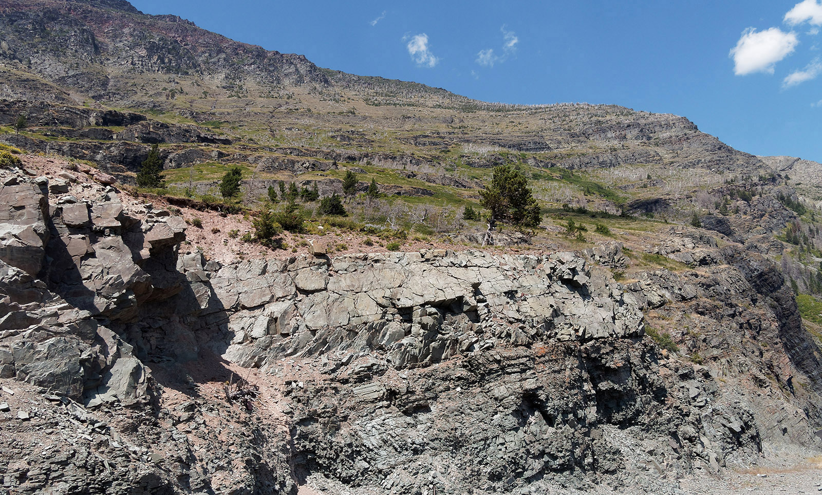The Appekunny formation is primarily argillite and siltstone deposited seas of varying depth during the Proterozoic 1.4 to 1.2 billion years ago.