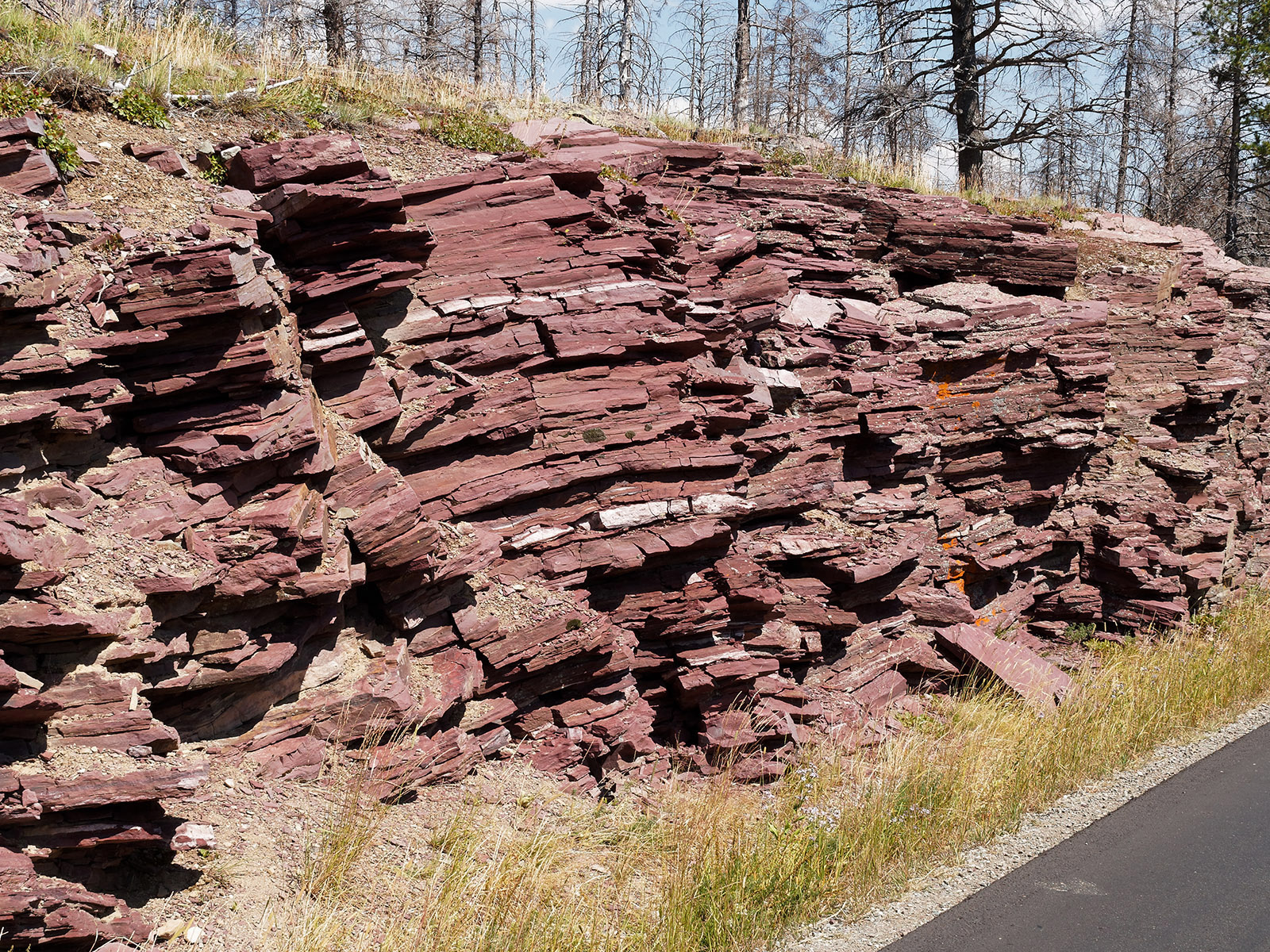 The Grinnell formation is aged around 1.4 billion years and formed in very shallow water and broad tidal flats with ebb and flow of tides, stream run off and turbulent local condition leading to complex morphology.  These laminated layers of argillite.