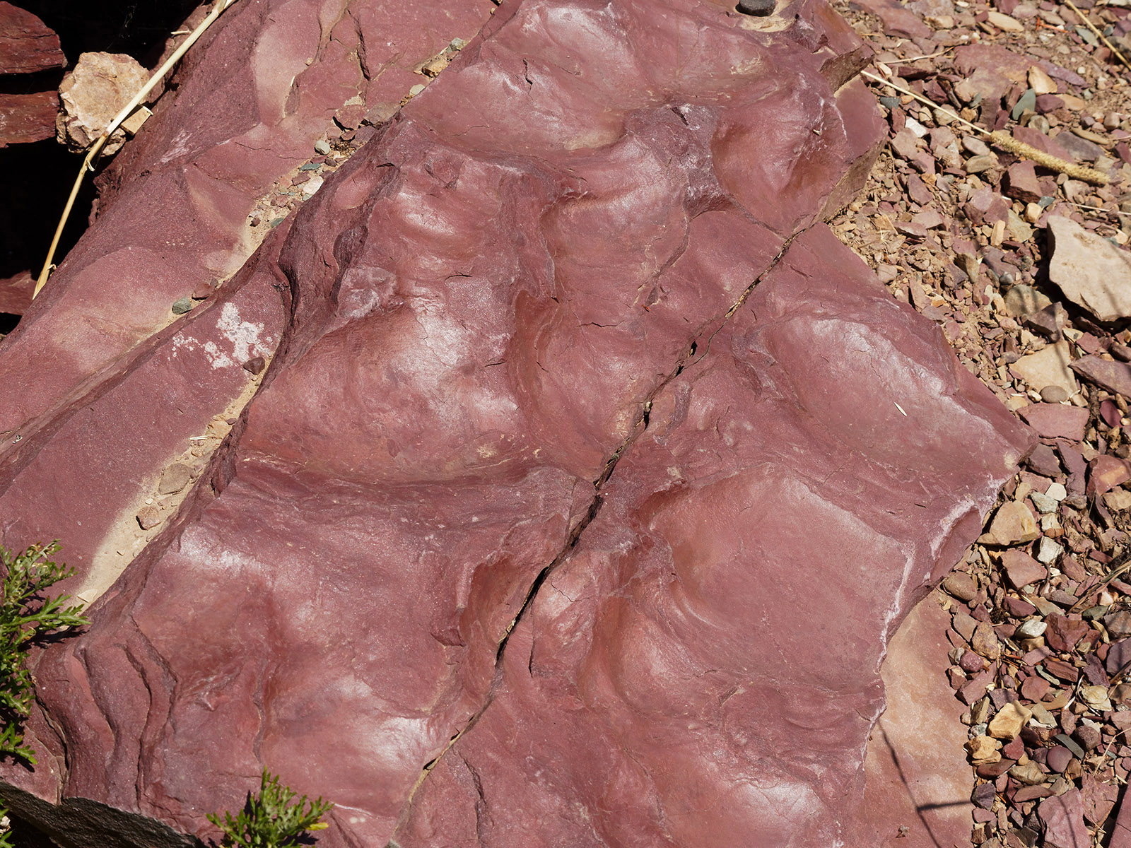 Grinnell formation:  Ripples from water movement in mudflats.