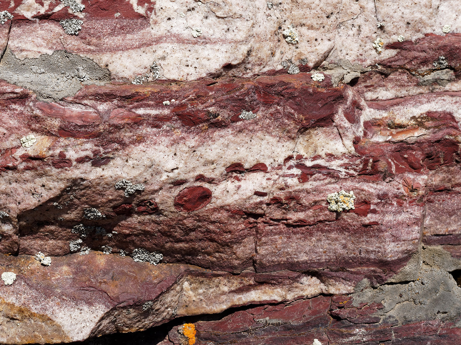 Grinnell formation:  Mud balls, mudchip brecca and white quartzite derived from silica-rich sand.