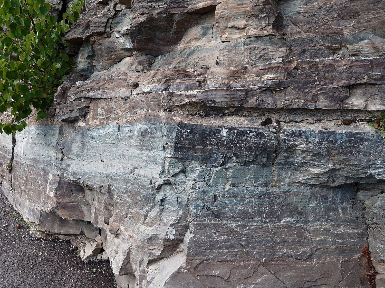 The Helena formation (1.40-1.35 billion years) is complex.  This area has interbedded tan argillite with gray layers of oolite which are granular concretions of calcium carbonate (aka limestone).
