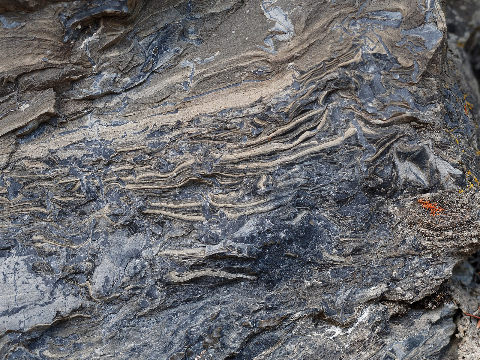 Stromatolytes in Helena formation.