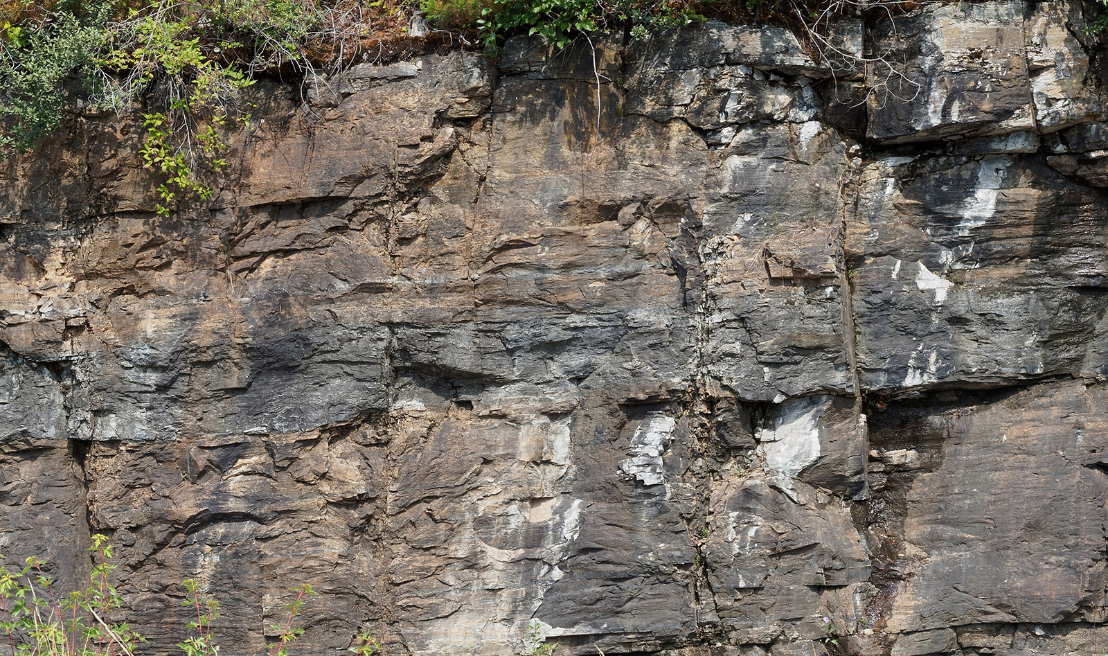 Snowslip formation (1.35 to 1.17 billion years) composed of argillite, siltite and small amounts of quartzite.