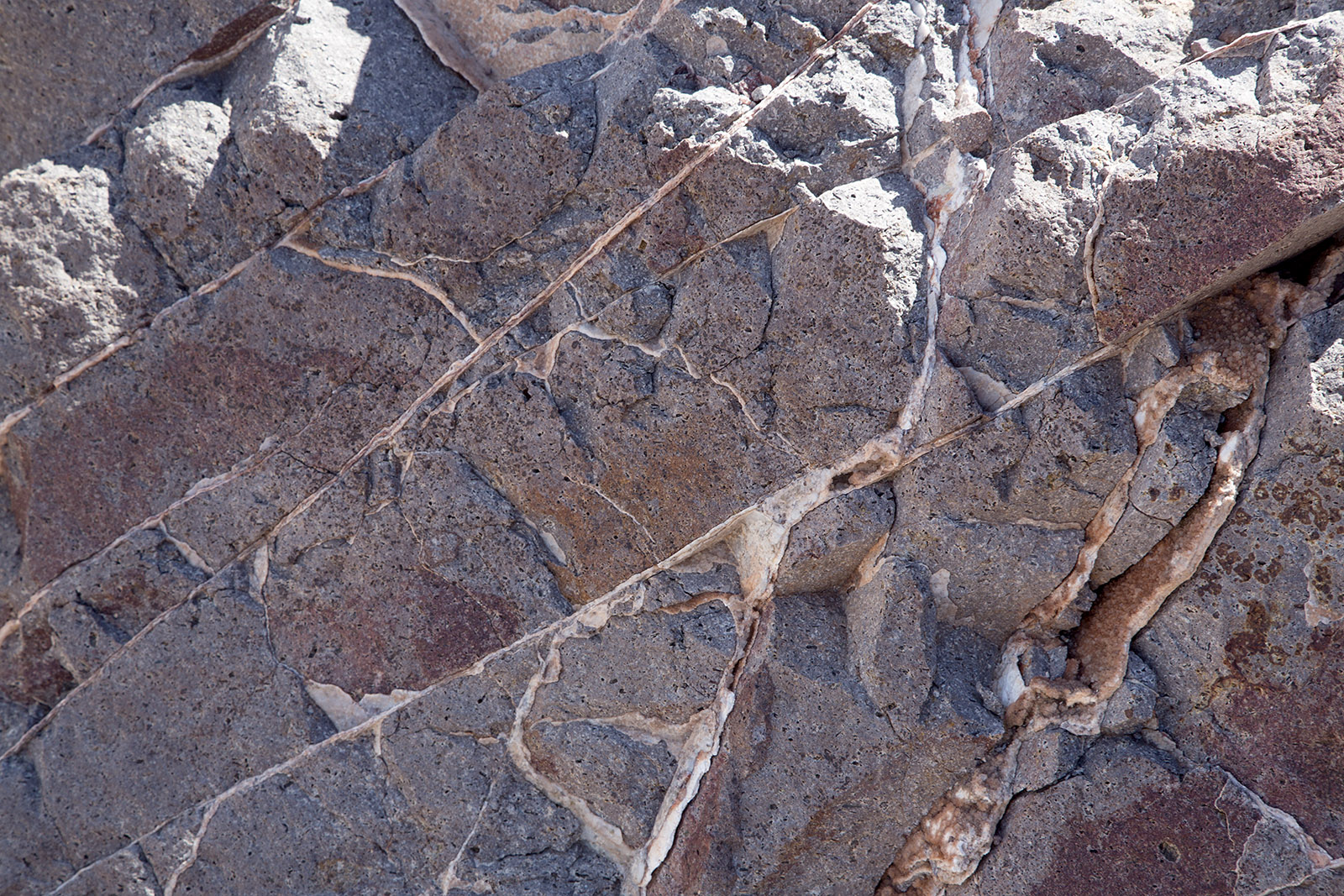 Pennsylvanian period limestone derived from marine life has veins of calcite in a creek valley below stop 1 on the Quebradas Byway.