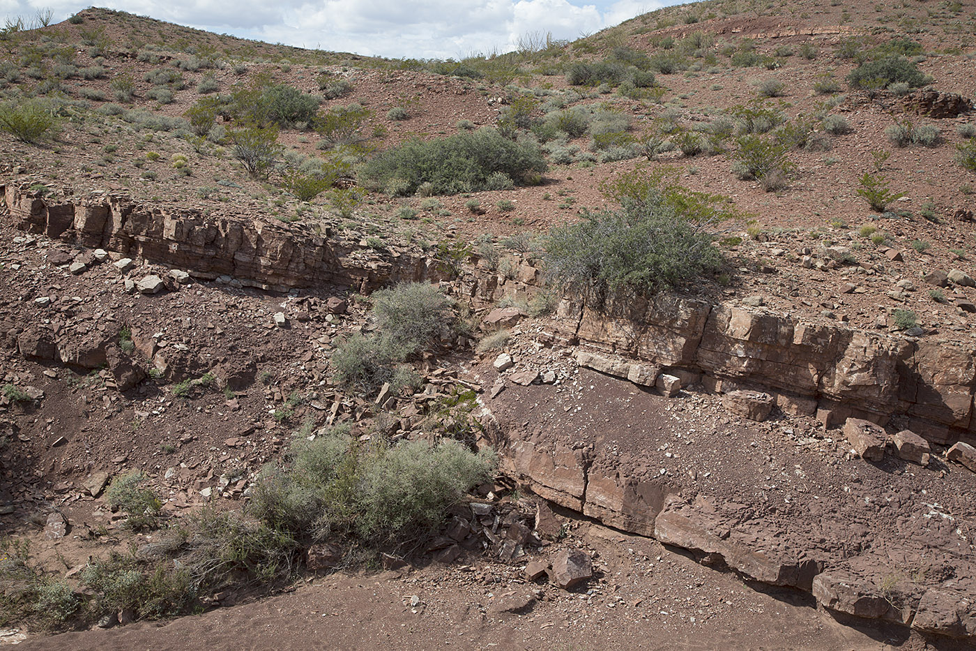 Stop 2 along the Quebradas Back Country Byway shows strata of sandstone, siltstone and shale from the Lower Permian Period Abo Formation.  These strata formed 299-284 million years ago from the ancestral Rockies uplifts.  They are non-marine, and the red color is due to iron deposits in the form of hematite.