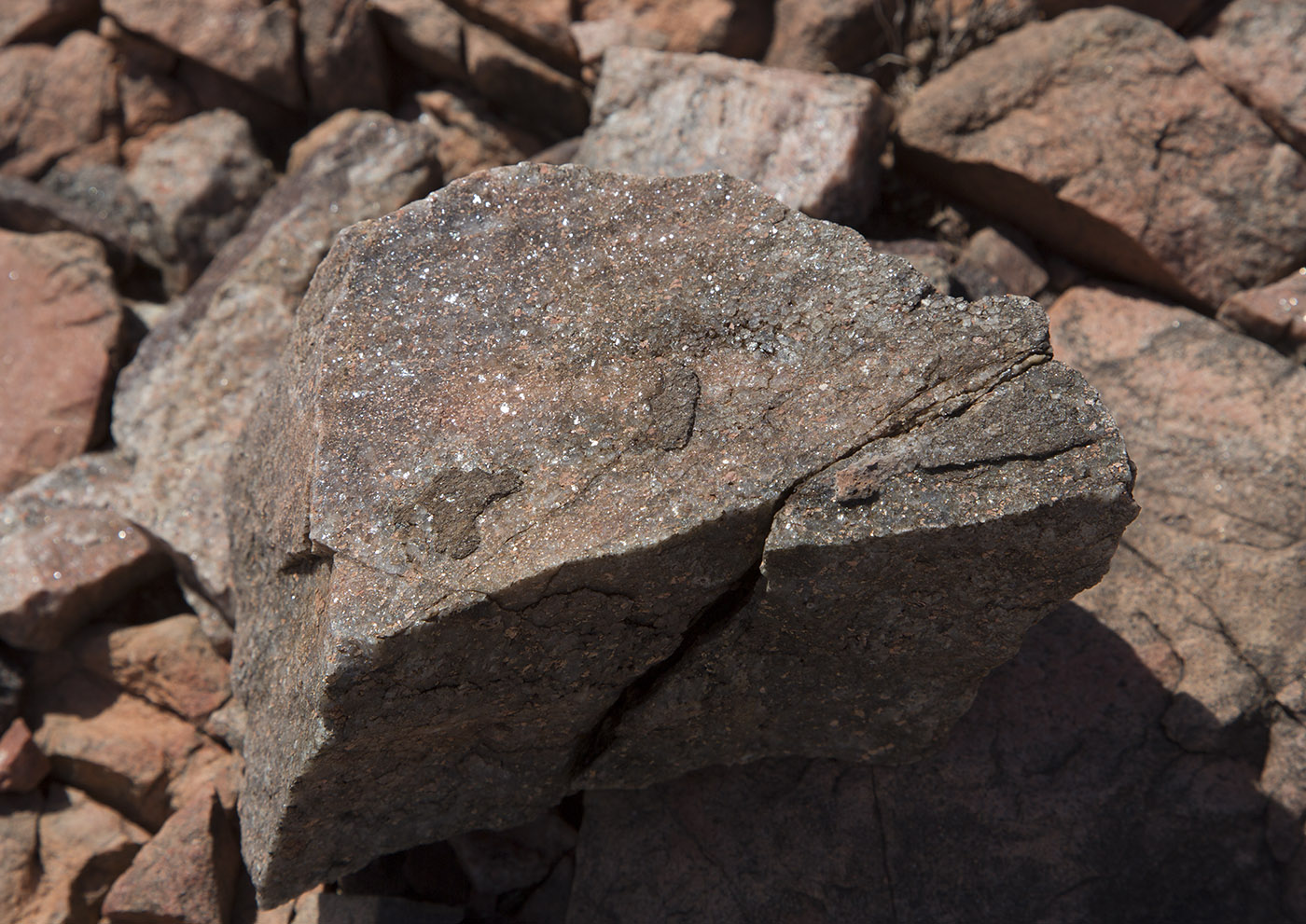 Sunlight reflections off quartz-rich sandstone of Permian period formations.  Quartz-rich sediments probably originated from erosion and deposition from the Ancestral Rockies.