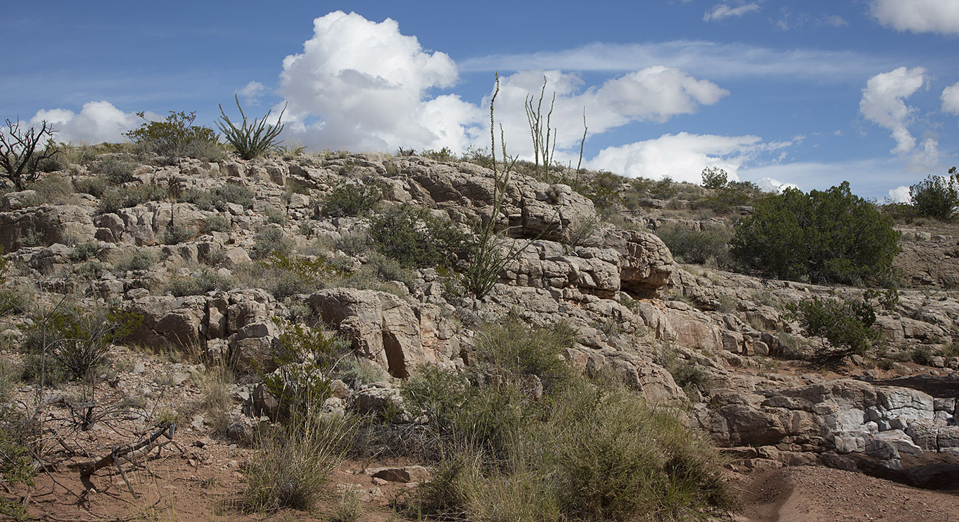 Limestone deposits of marine origin at stop 4 on the Quebradas Back Country Byway.