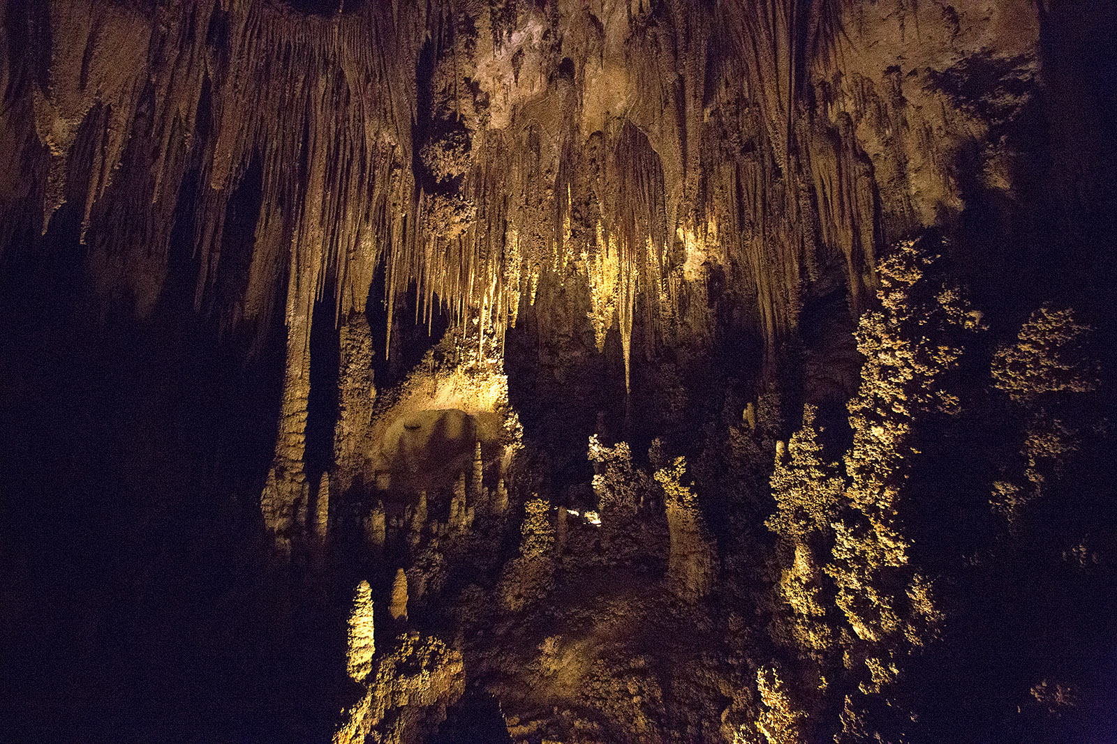 Photographs don't do justice to the caverns.  You have the experience the caverns. This is one photograph taken with lighting in one of the largest rooms accessible via elevator from the surface.  If you can, walk down.