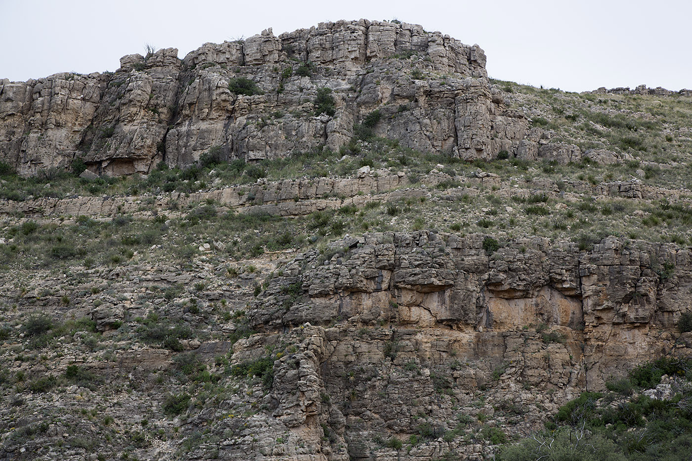 Limestone strata in Carlsbad Cavern National Park.  These strata were formed from the same Permian Period reef that formed around an inland sea that also formed the mountains in Guadelupe Mountains National Park.