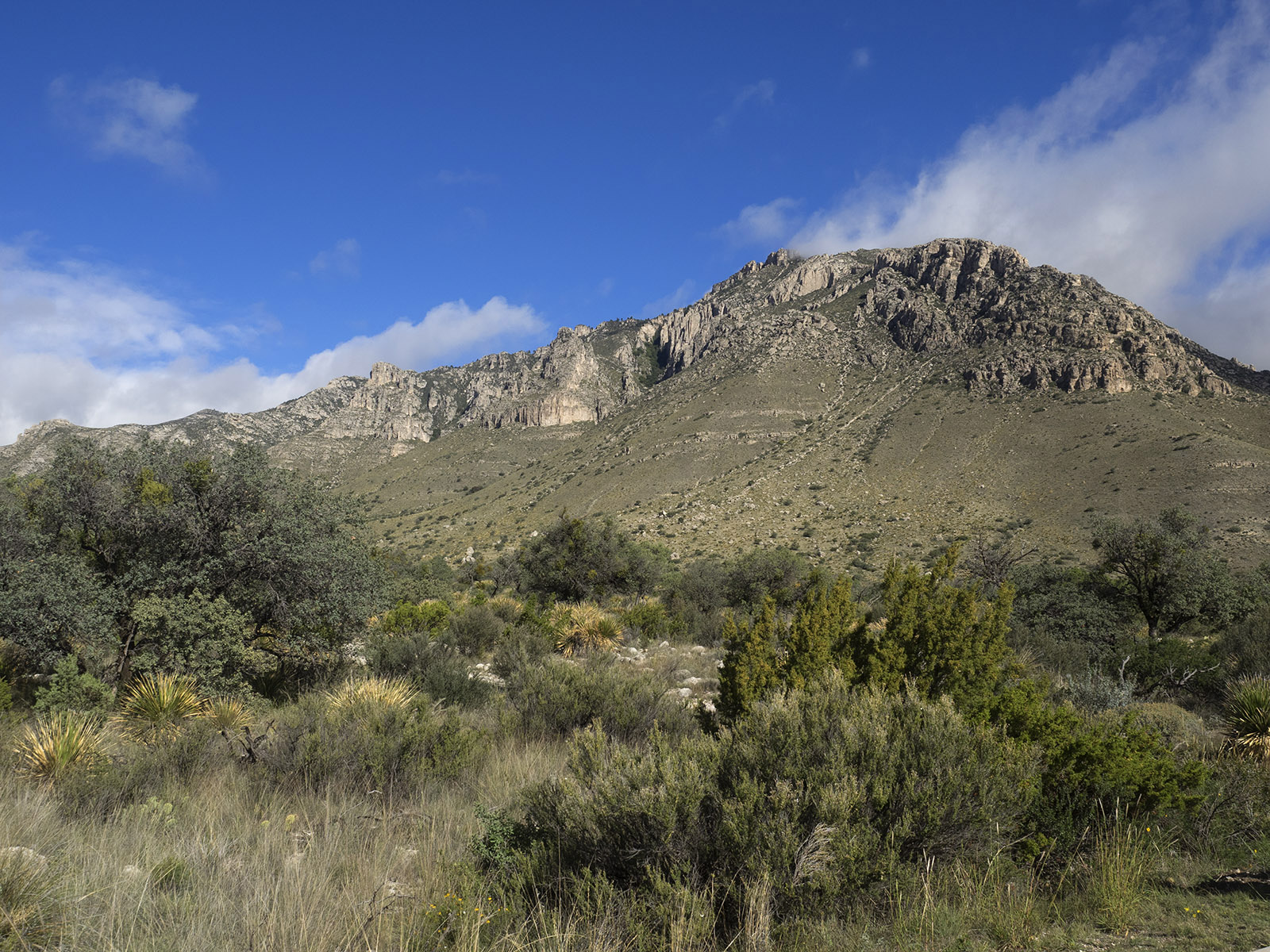 Guadelupe Mountains at Park Information Center.