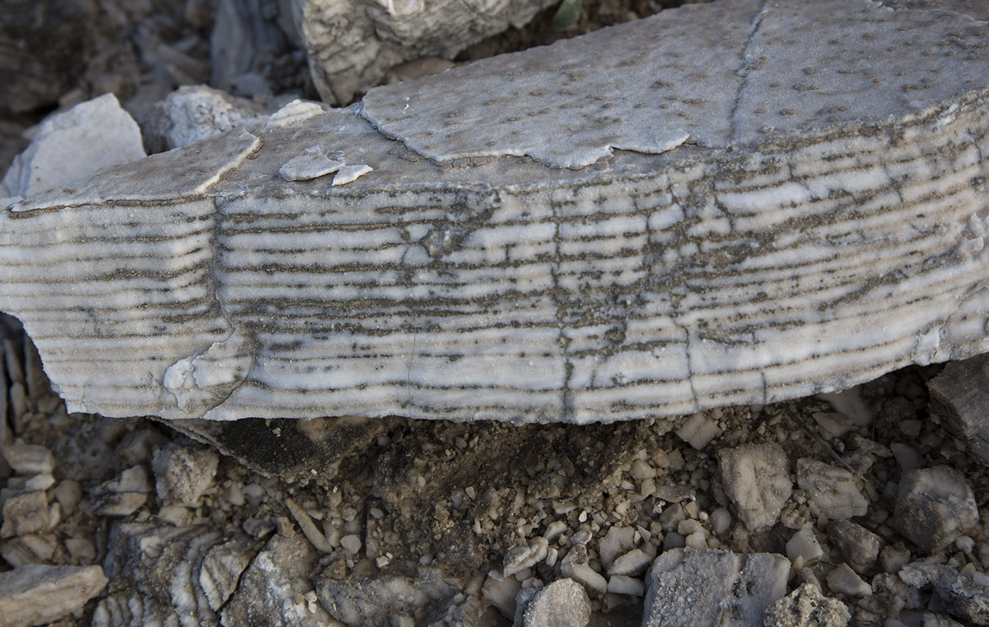 Castile Formation Evaporate form successive dark and light layers of CaSO4 (anhydrate) and CaSO4-2H20 that mark intervening periods of dry, low humidity times (lighter areas) and dark areas when there was greater humidity, more water and growth of algae occurred.  All of this was in shallow, high salinity pools.  Each dark and light band pair is called a varve.  State line outcrop, NM.