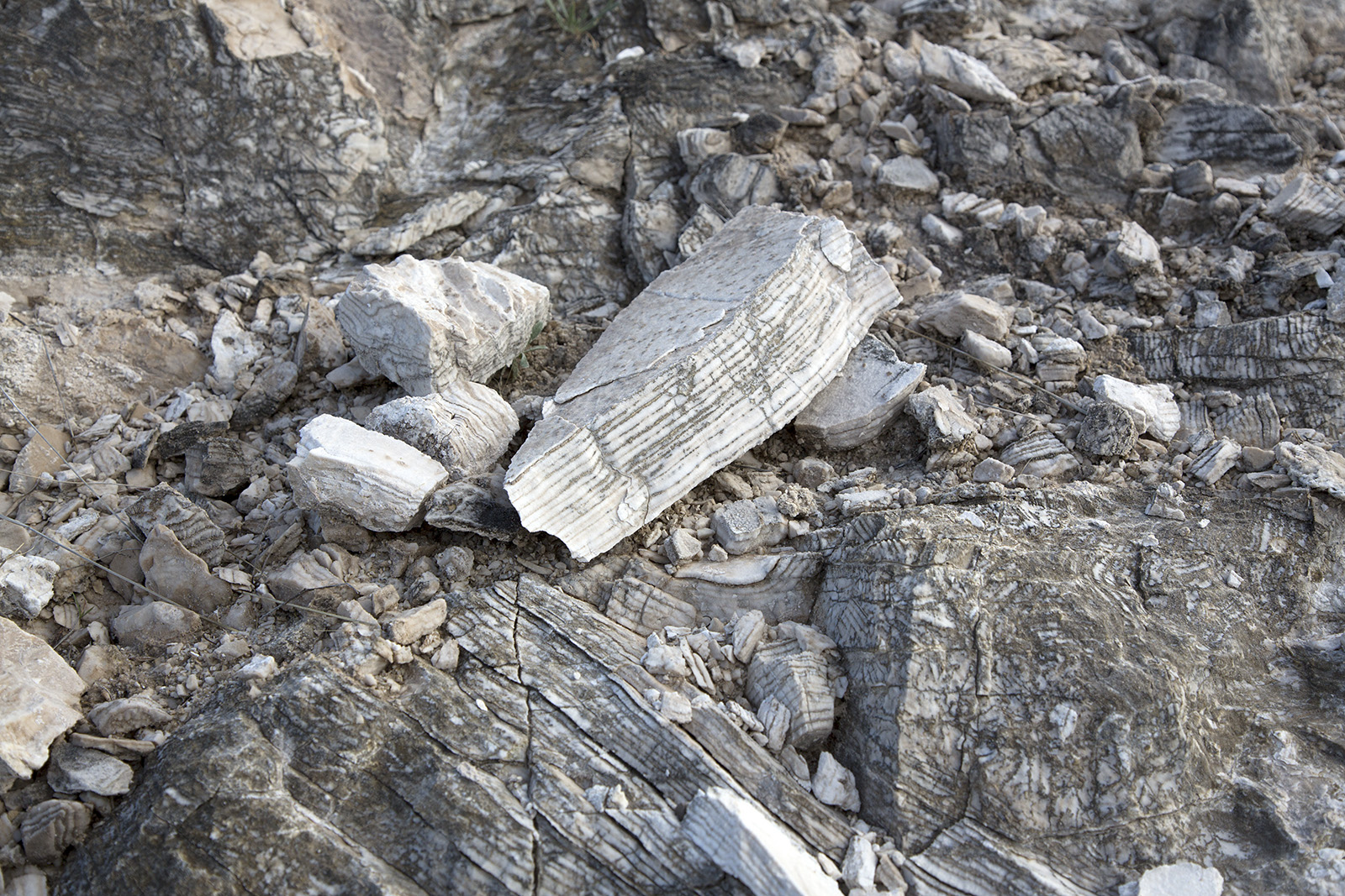 Interwoven and wavy bands of evaporate at State line outcrop, New Mexico represent disturbances in the Castile formation resulting from compression forces that disturbed the Delaware Basin after the evaporates formed.