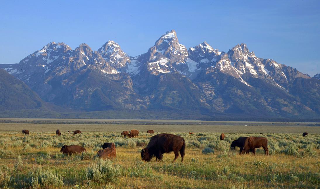 antelopeflatsroad_tetons_XB6M9312