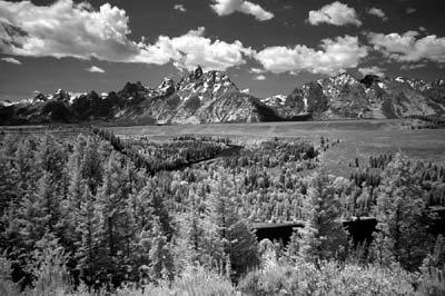 snakeriver_ir_IMG_6811